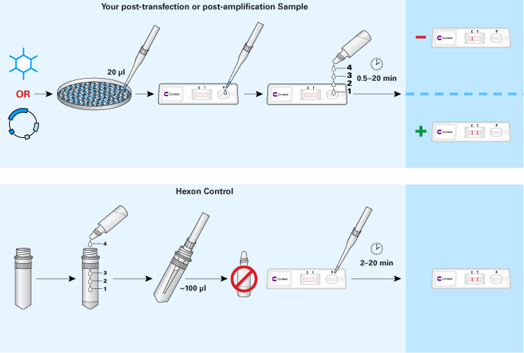 Adenovirus titration kits